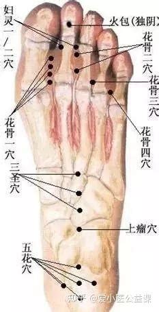 水通穴|董氏奇穴入门 （纯干货建议收藏）